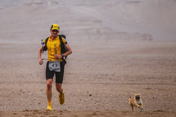 Corredor adota cachorrinha durante ultra no deserto