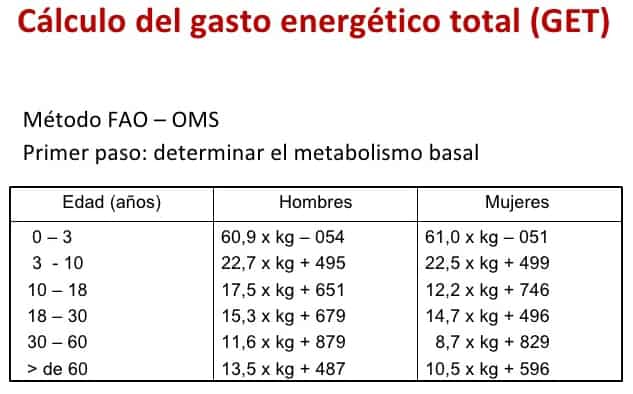 Calcular gasto energetico diario